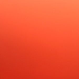 Meet your Posher, Rylee